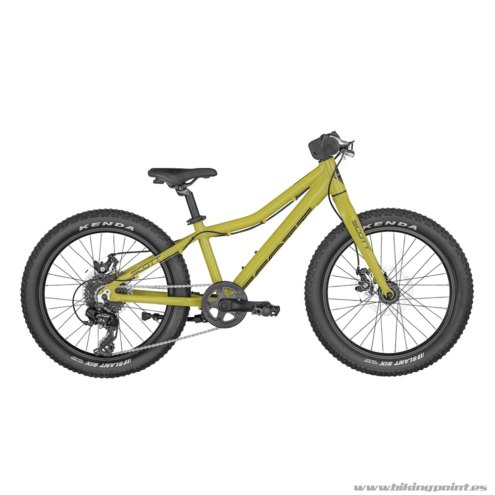 Bicicleta Scott Roxter 20 Green 2023