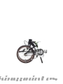 Bicicleta Dahon Ciao D7