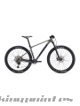 Bicicleta Giant XTC SLR 29 1 2024