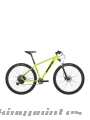 Bicicleta Massi Fura Advanced 29 1x12 2020