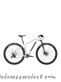 Bicicleta Massi Team 29 Replica 1x12 2020