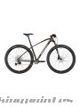 Bicicleta Massi Casta 29 Advanced 1x12 2024